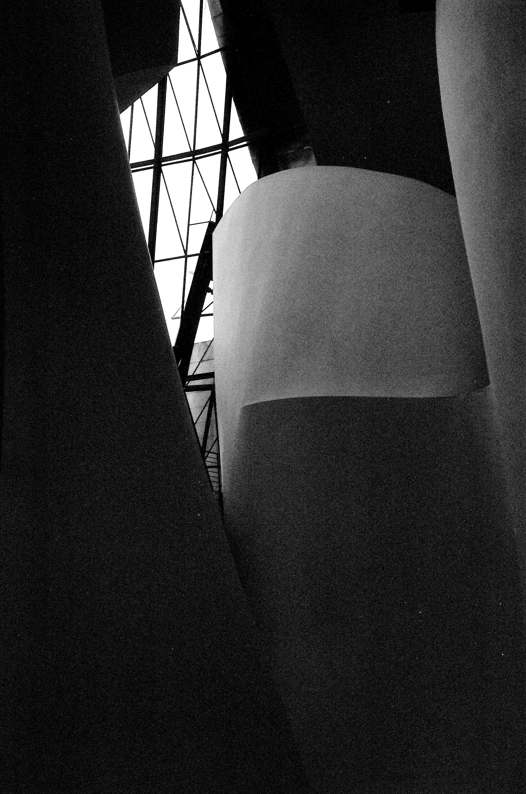 person in black and white shorts