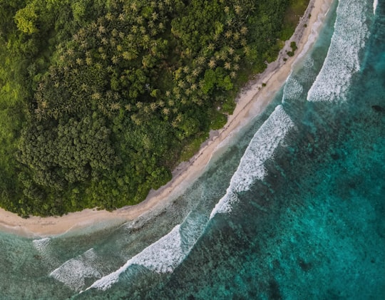 aerial view of green trees beside body of water during daytime in Hirimaradhoo Maldives