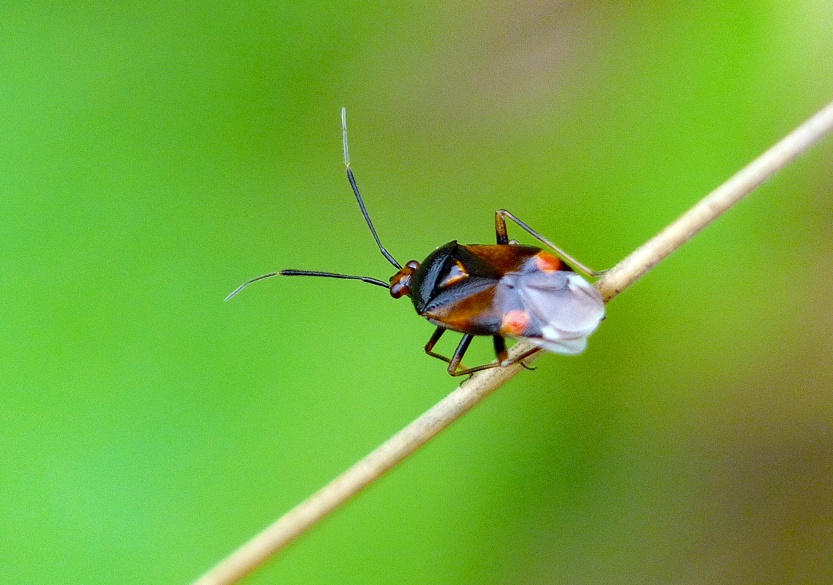 Photo by les_attridge