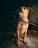 A small brown puppy is sitting on a concrete floor, looking upwards with a curious expression. The puppy is wearing a yellow collar with a red leash attached to it. The background is dark and slightly blurred, drawing attention to the dog.