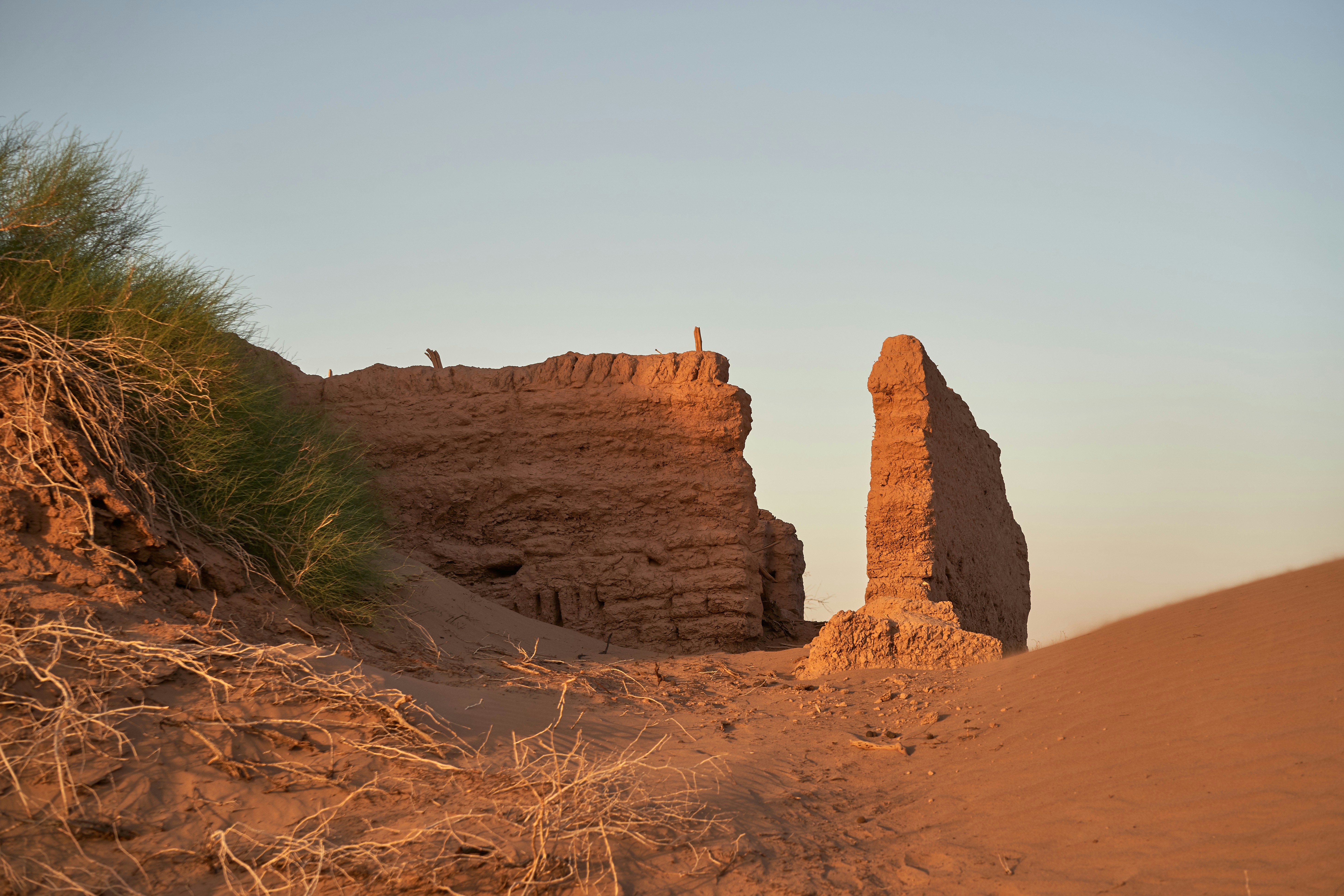 Photo by wolfgang_hasselmann