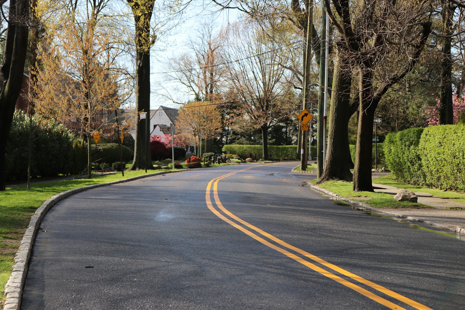 A winding road through a suburban neighbourhood in Fall