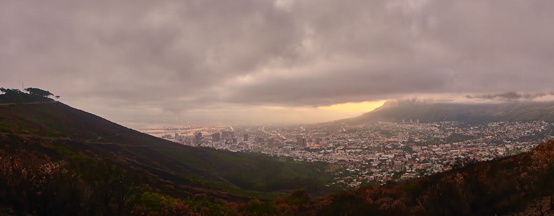 aerial view of city during daytime