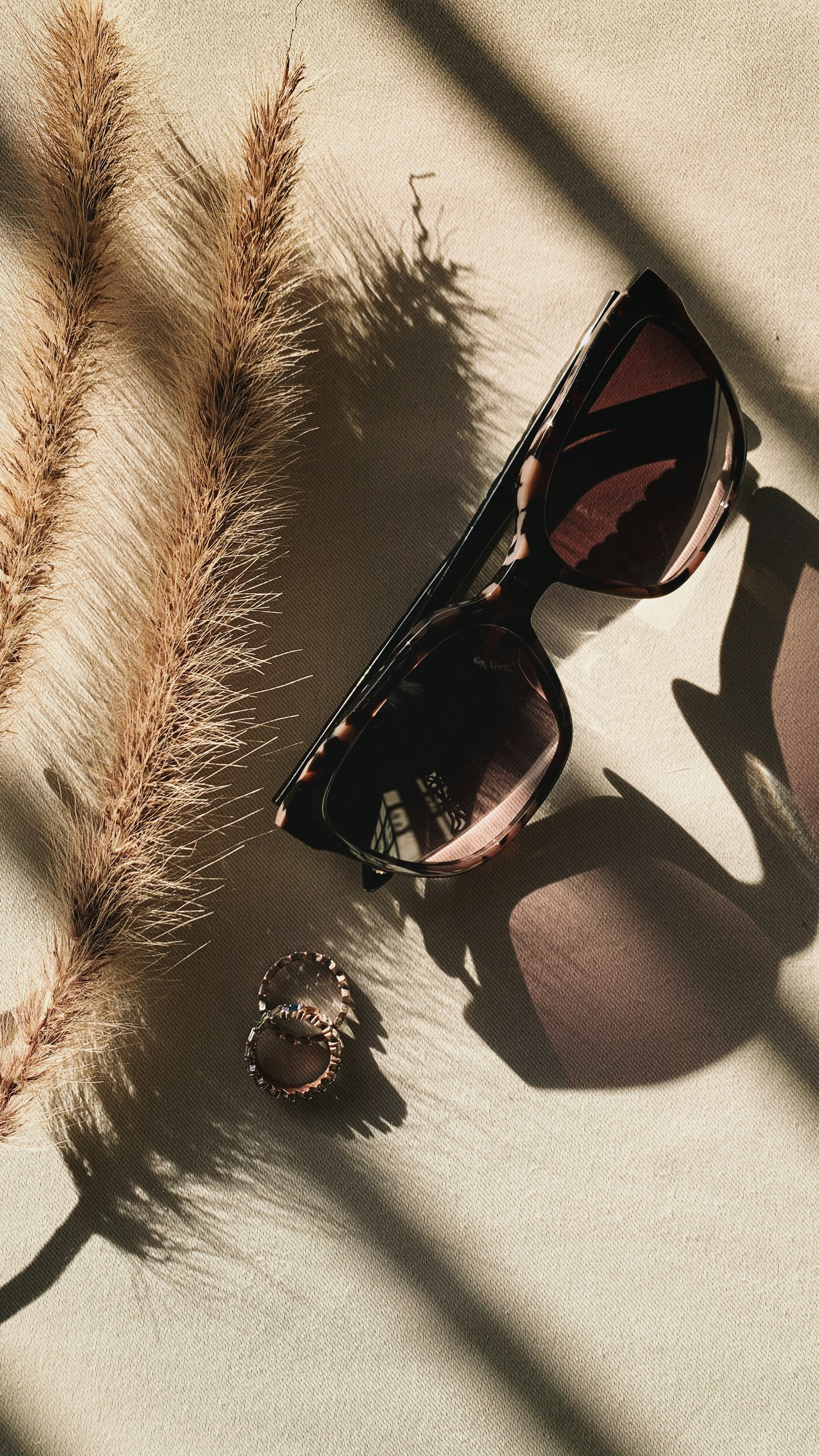 Black framed sunglasses