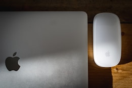 A silver laptop with an Apple logo is placed next to a white Apple Magic Mouse. The items are set on a wooden surface, and there's a beam of light casting a soft shadow across the laptop.