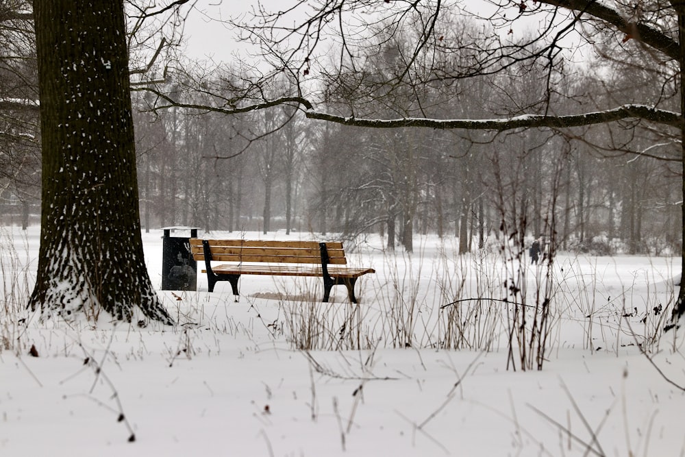 braune Holzbank auf schneebedecktem Boden