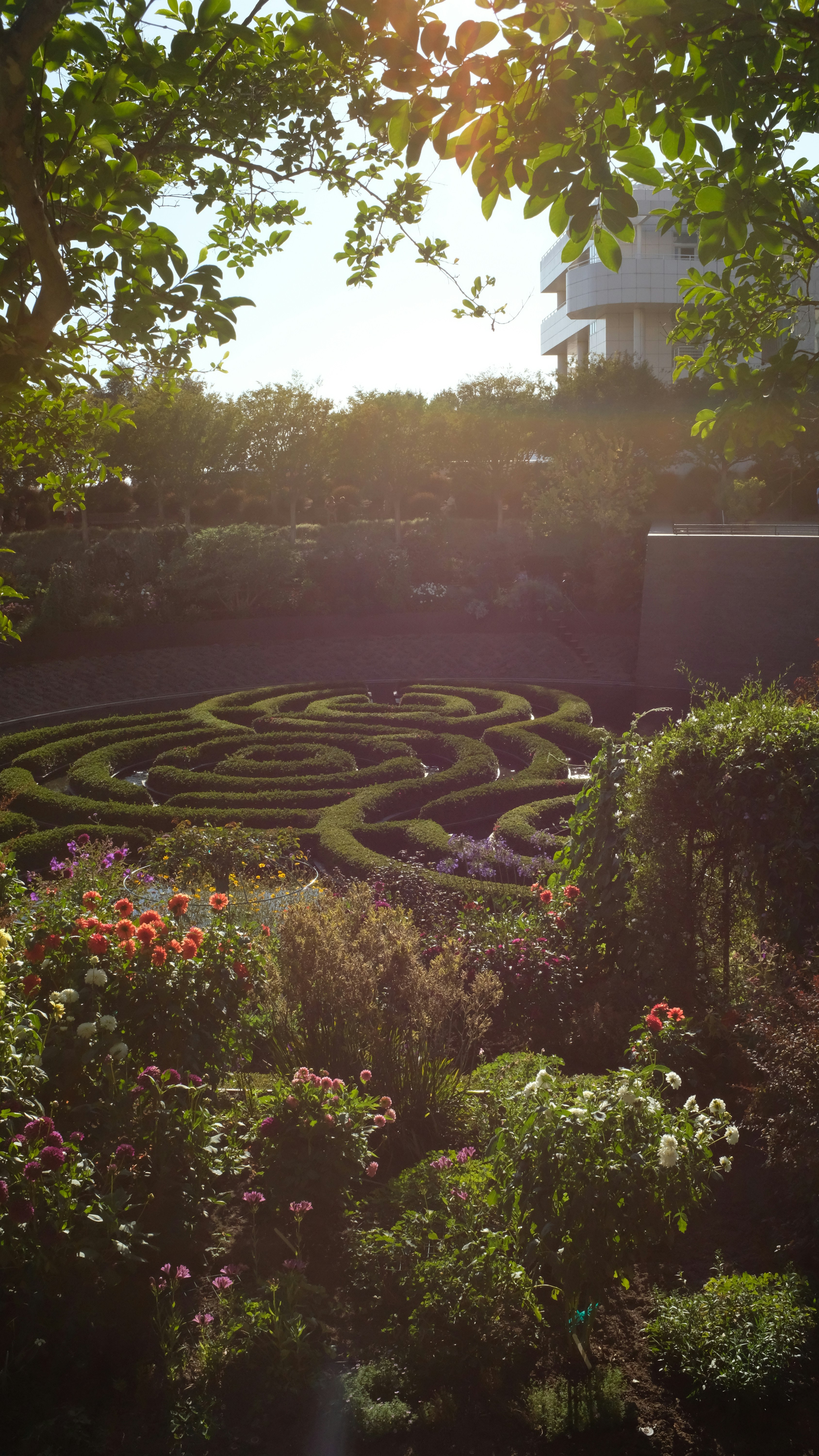 Photo by bearwashere