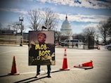 A person holds a large sign depicting a political figure with the words 'MOB BOSS' in front of the United States Capitol building. Orange traffic cones are set up around them on the street. The sky is partly cloudy, and trees without leaves are visible.