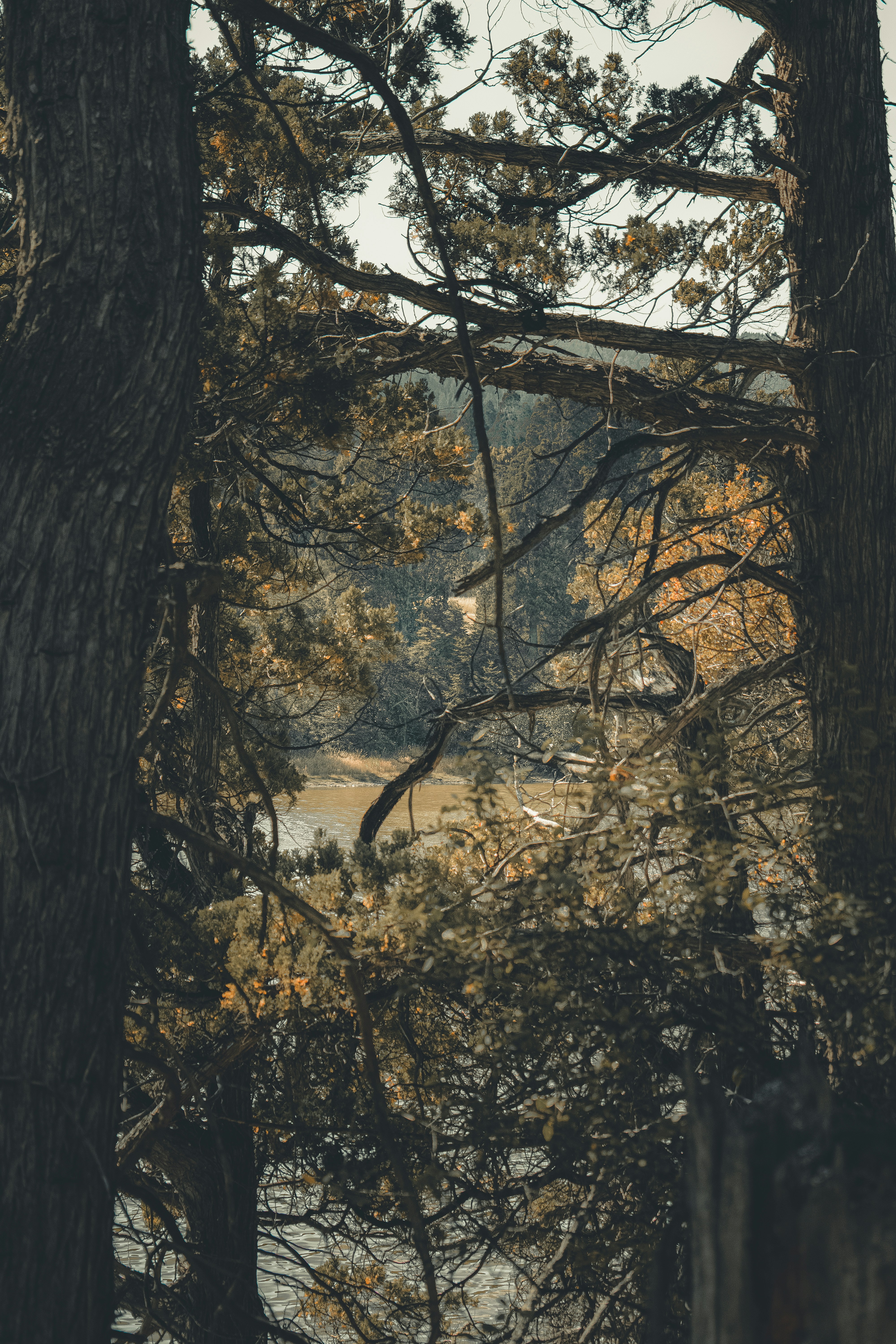 Photo by williamsiann