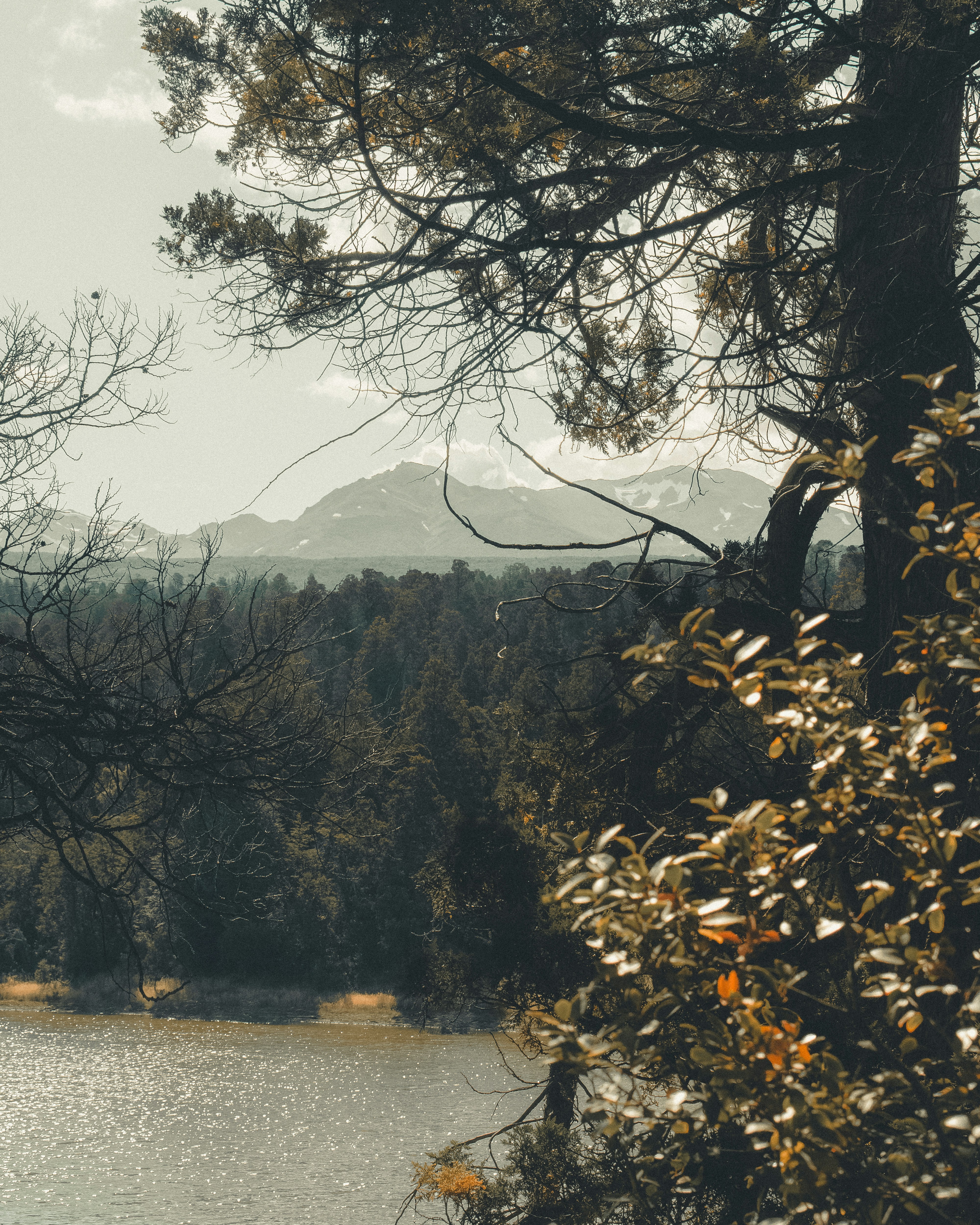 Photo by williamsiann