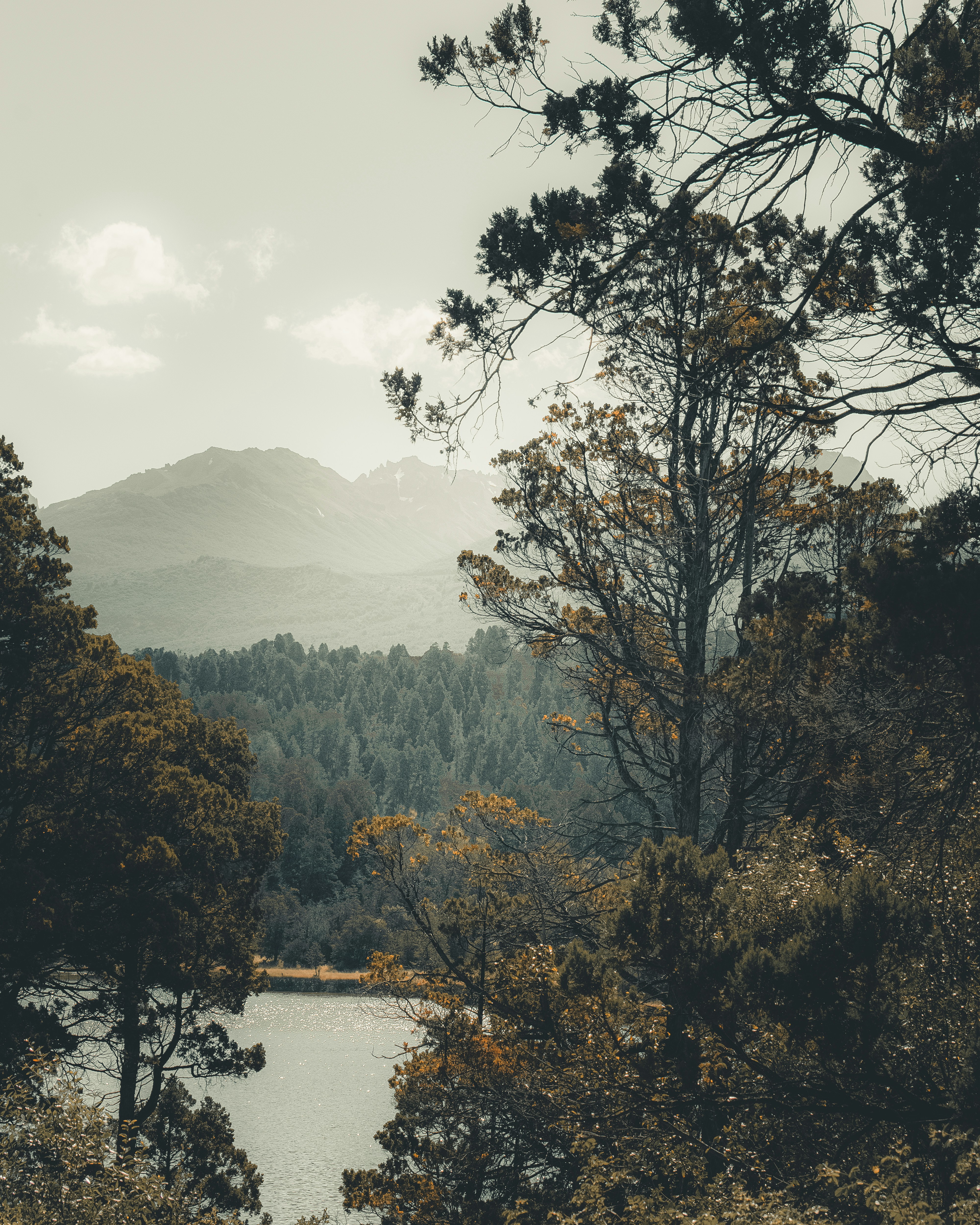 Photo by williamsiann