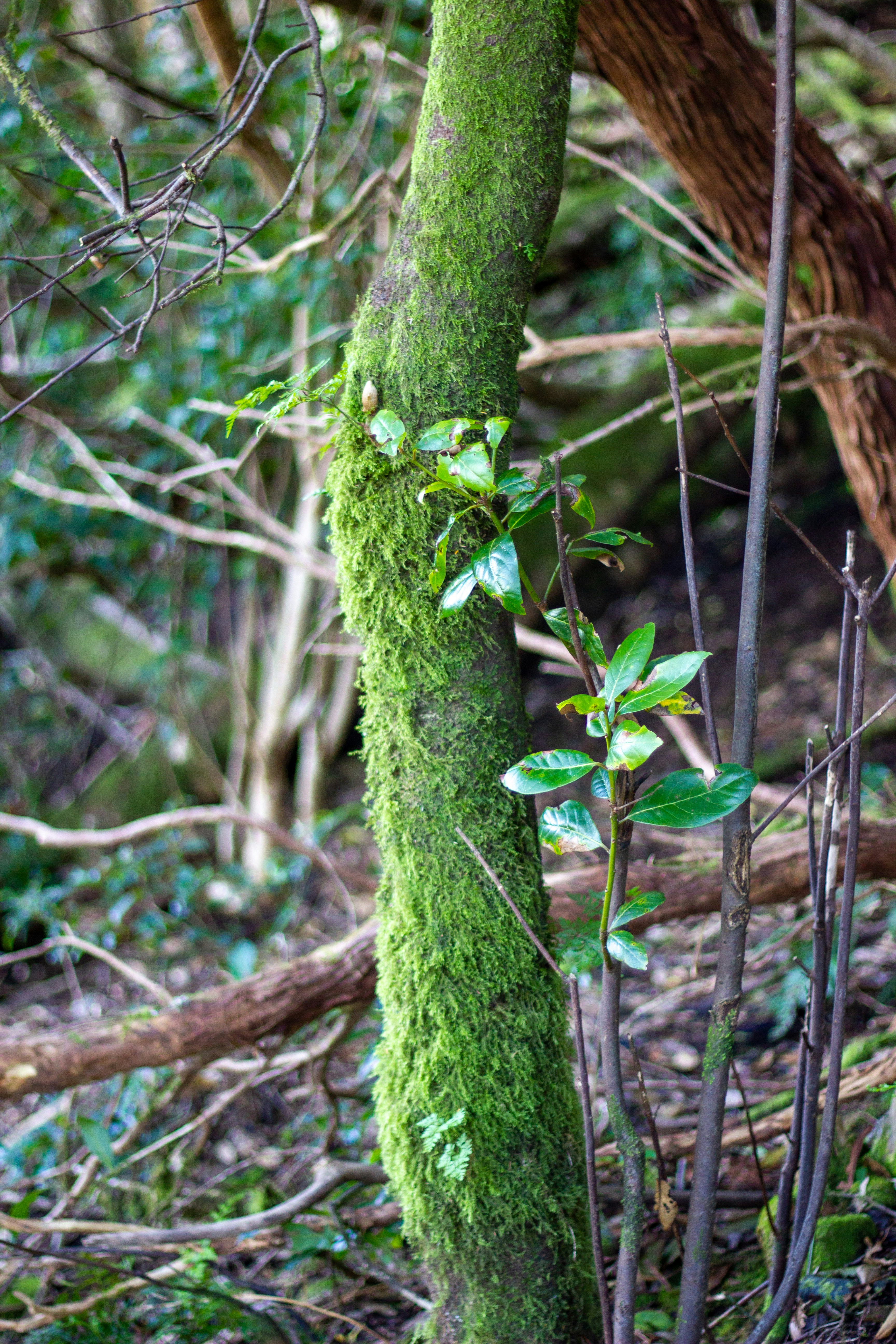 Photo by adrianbalcan