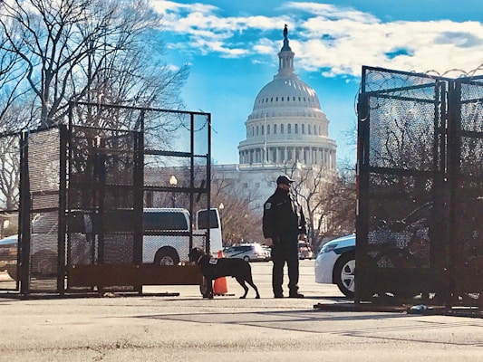 A security checkpoint with metal fencing and a guard accompanied by a dog in the foreground. The U.S. Capitol building is prominently visible in the background under a bright blue sky with scattered clouds. Bare trees and various vehicles are also part of the scene.
