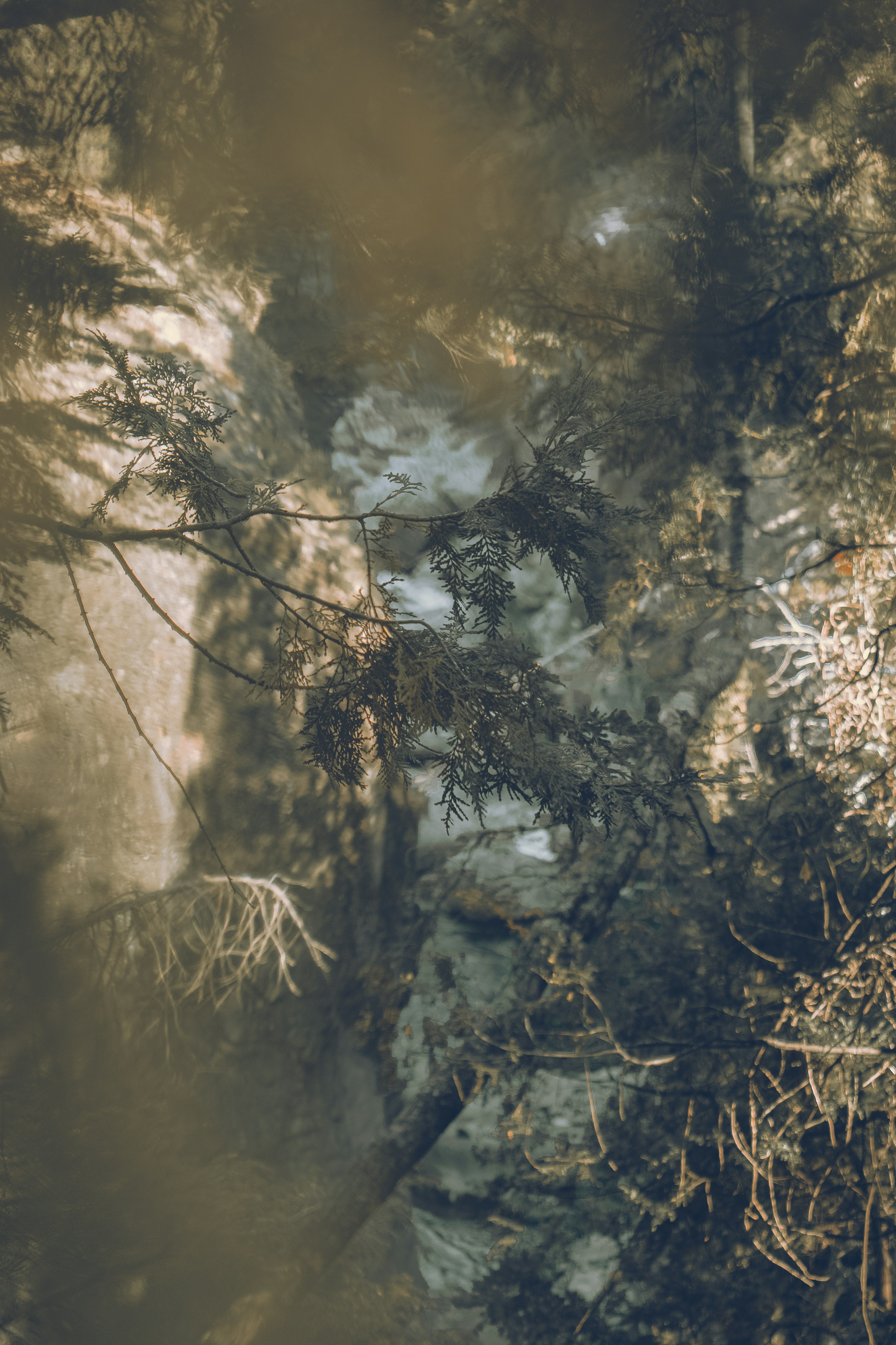 Photo by williamsiann