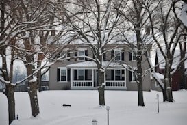 A two-story house with a porch surrounded by barren trees in a snowy landscape. The branches are lightly dusted with snow, and the scene features a wintry, serene atmosphere. The house is painted in neutral colors, with black shutters and windows adding contrast. There are lampposts along a path leading to the house.