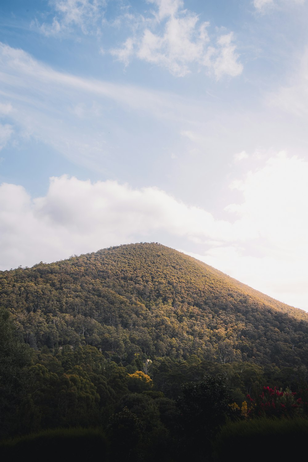 green trees on mountain under white clouds during daytime