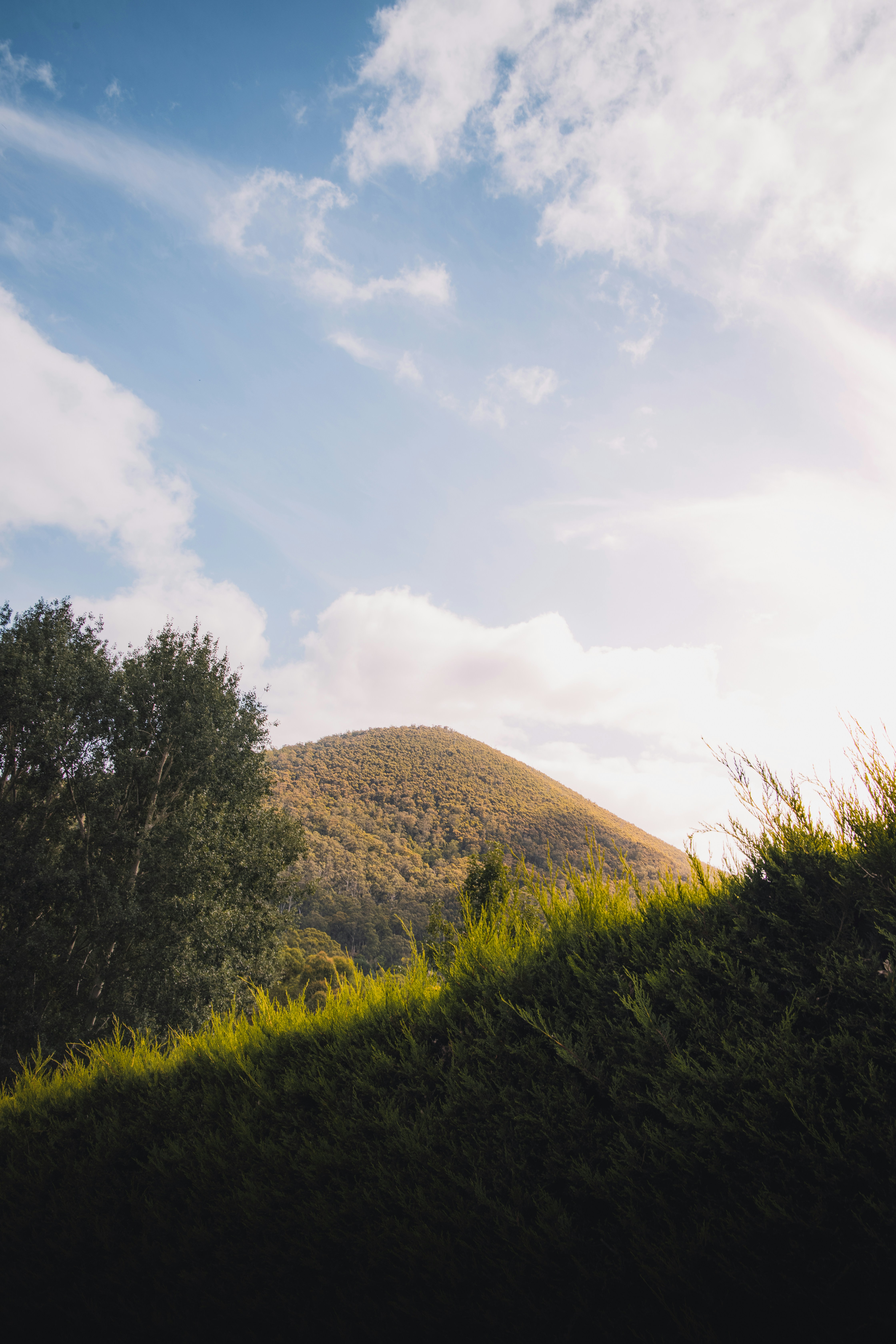 Green trees on brown mountain under white clouds during daytime photo ...