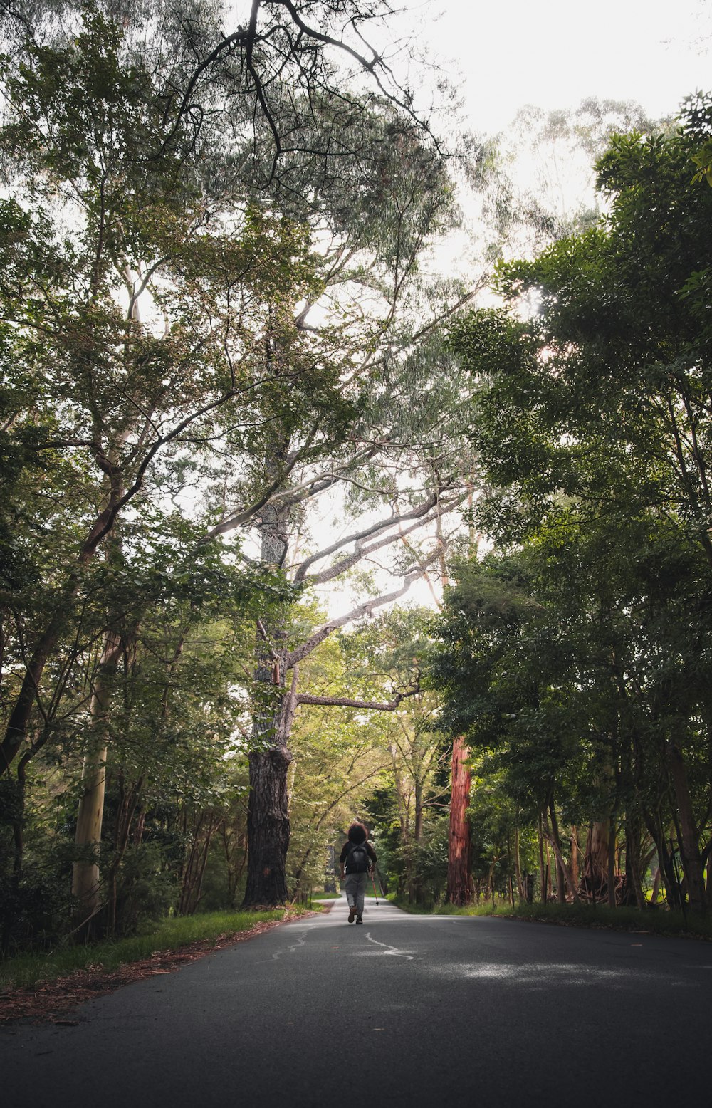 Hombre con chaqueta negra caminando en el bosque durante el día