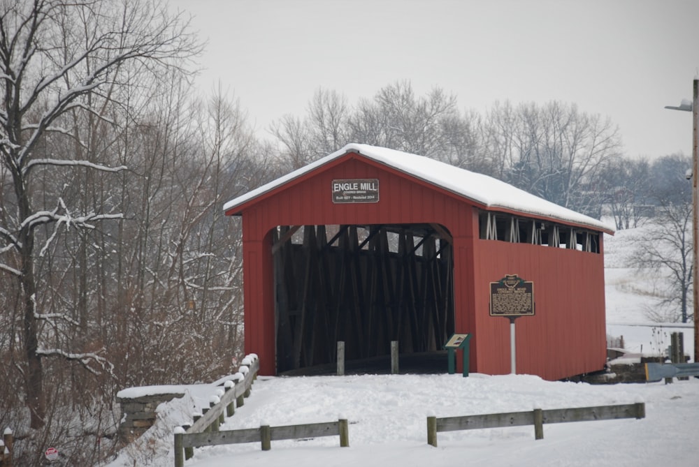 red wooden house near bare trees during daytime