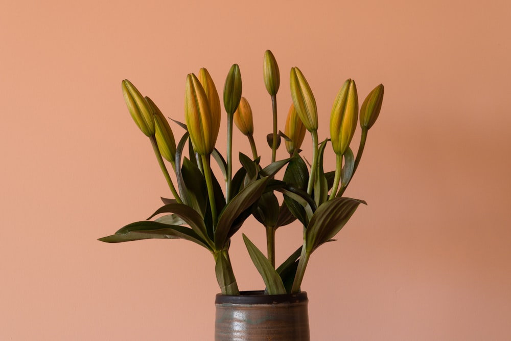 green and yellow leaves on blue ceramic vase