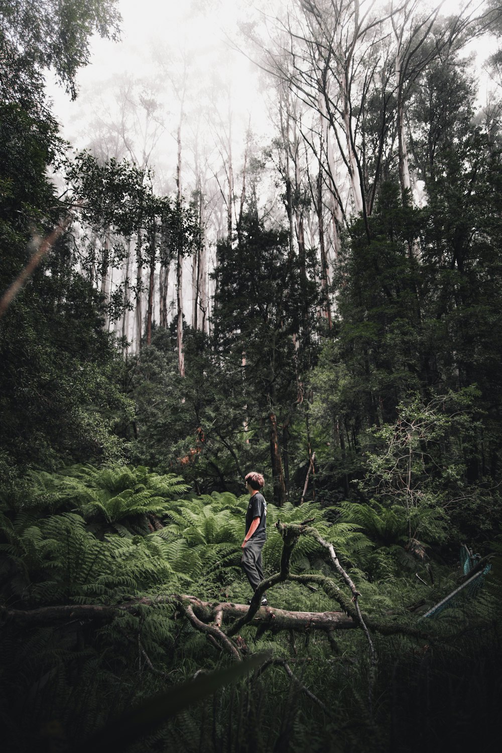 man in red shirt and black shorts standing on brown rock surrounded by green trees during