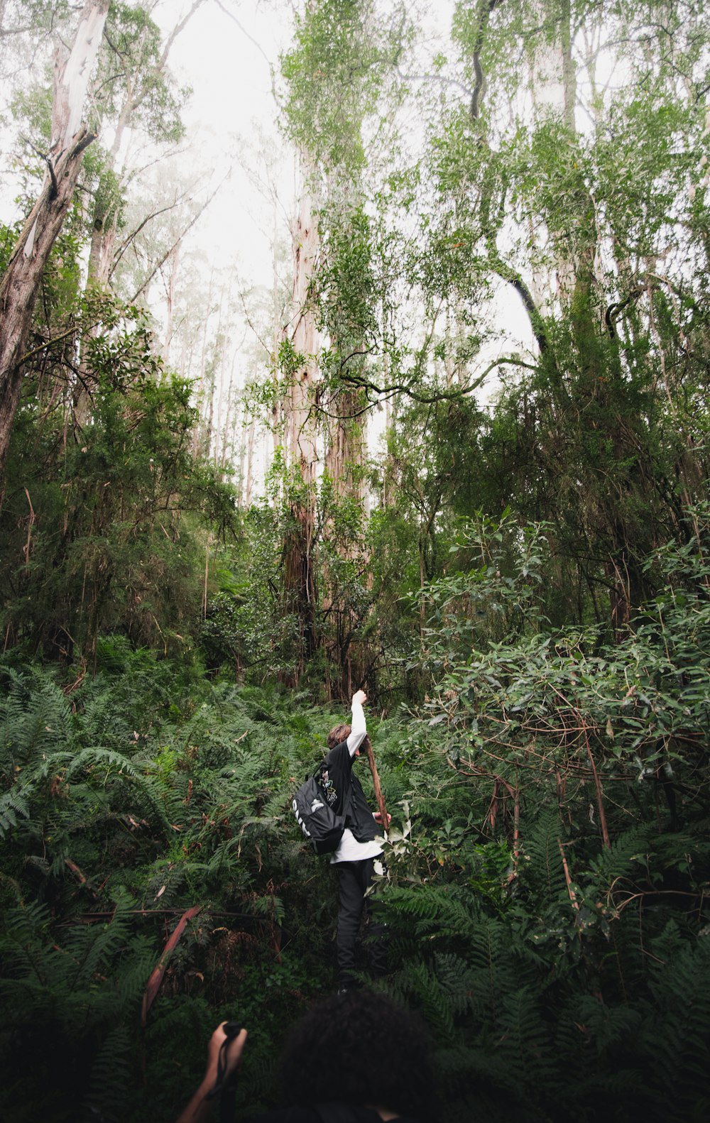 woman in white shirt and black pants standing on forest during daytime