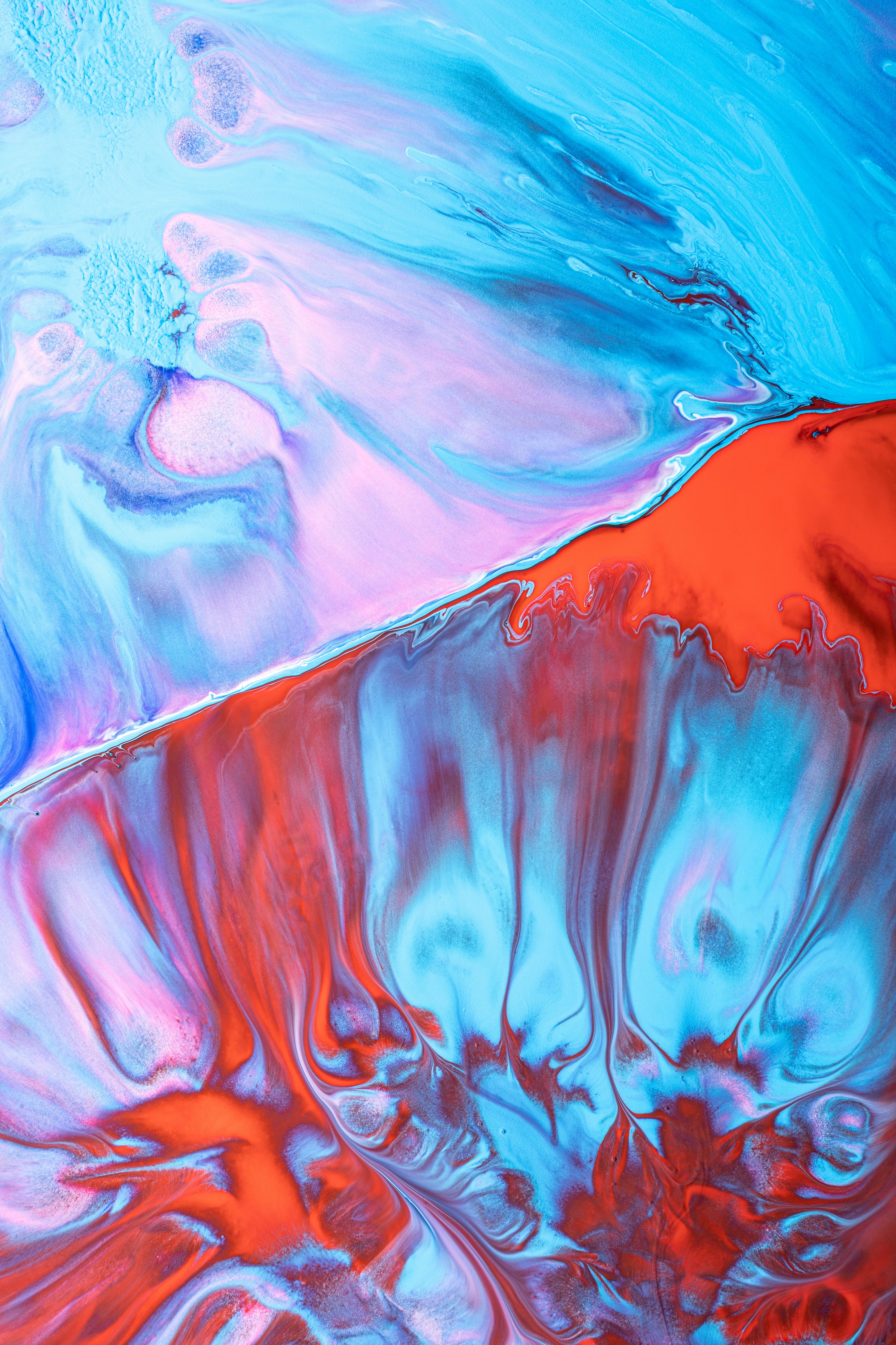 The Administered Life and Its Discontents