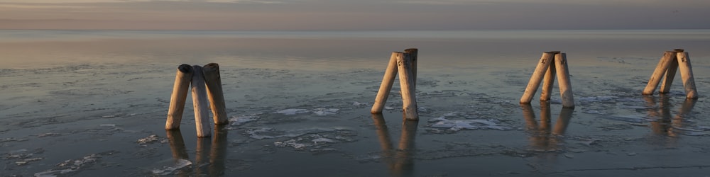 brown wooden post on water