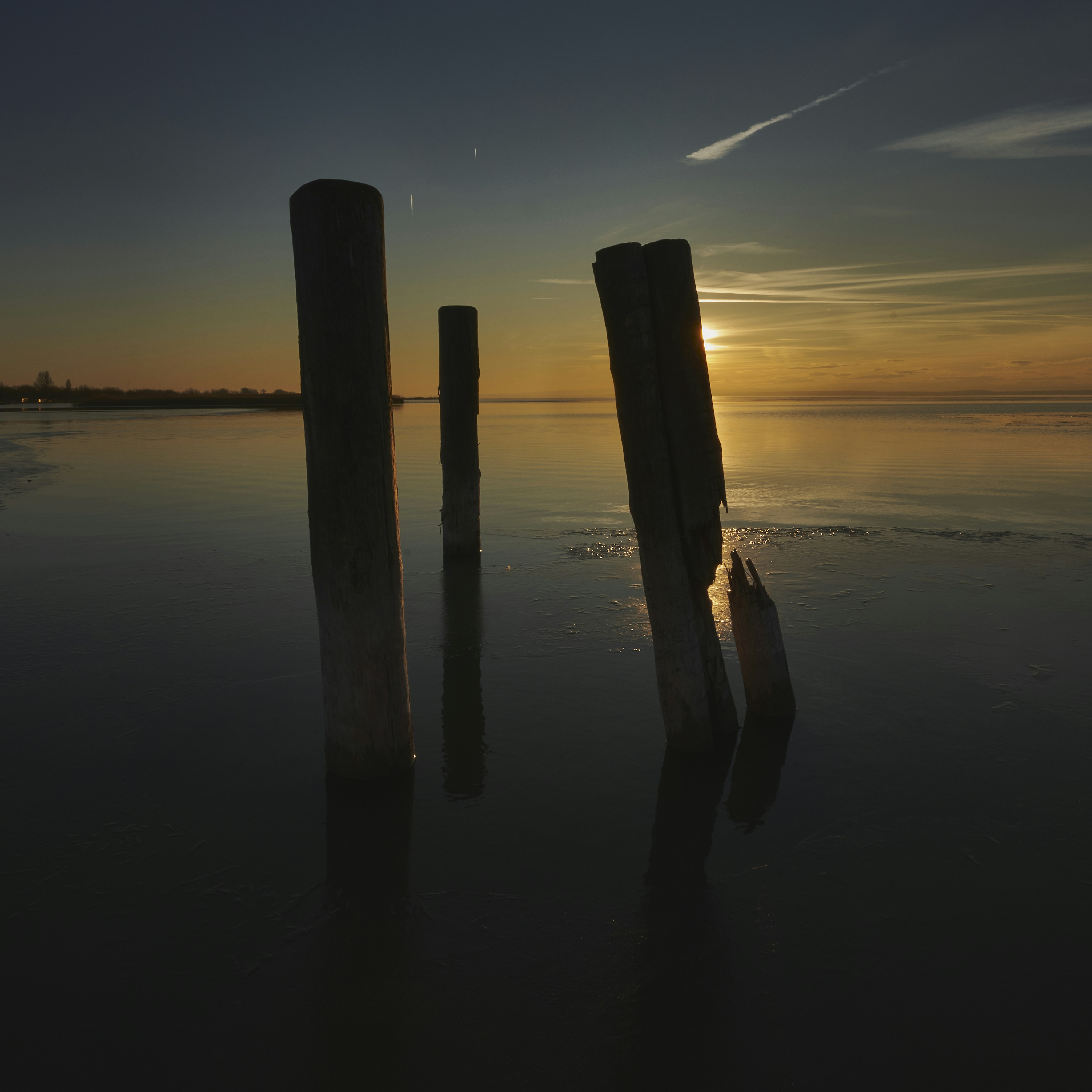 Photo by majc0