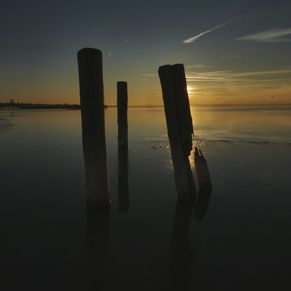 brown wooden post on body of water during sunset