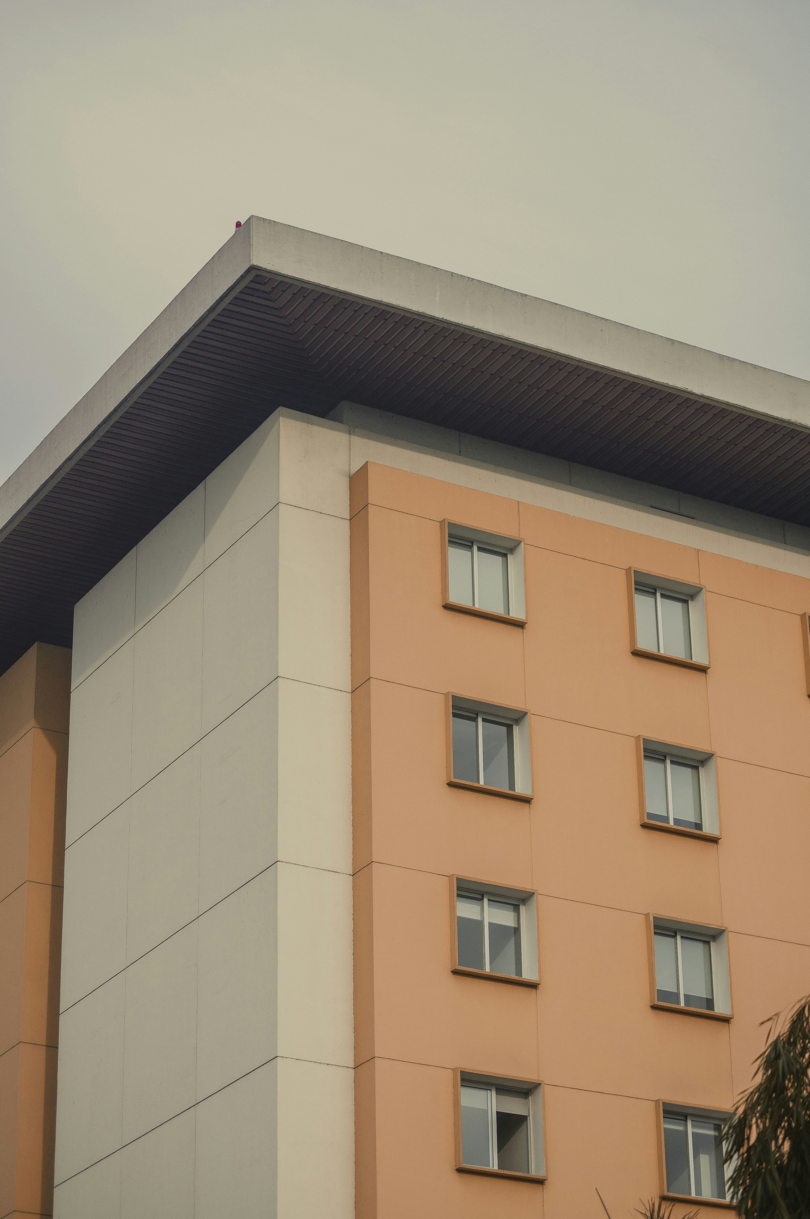 Photo by yosoyartmdez