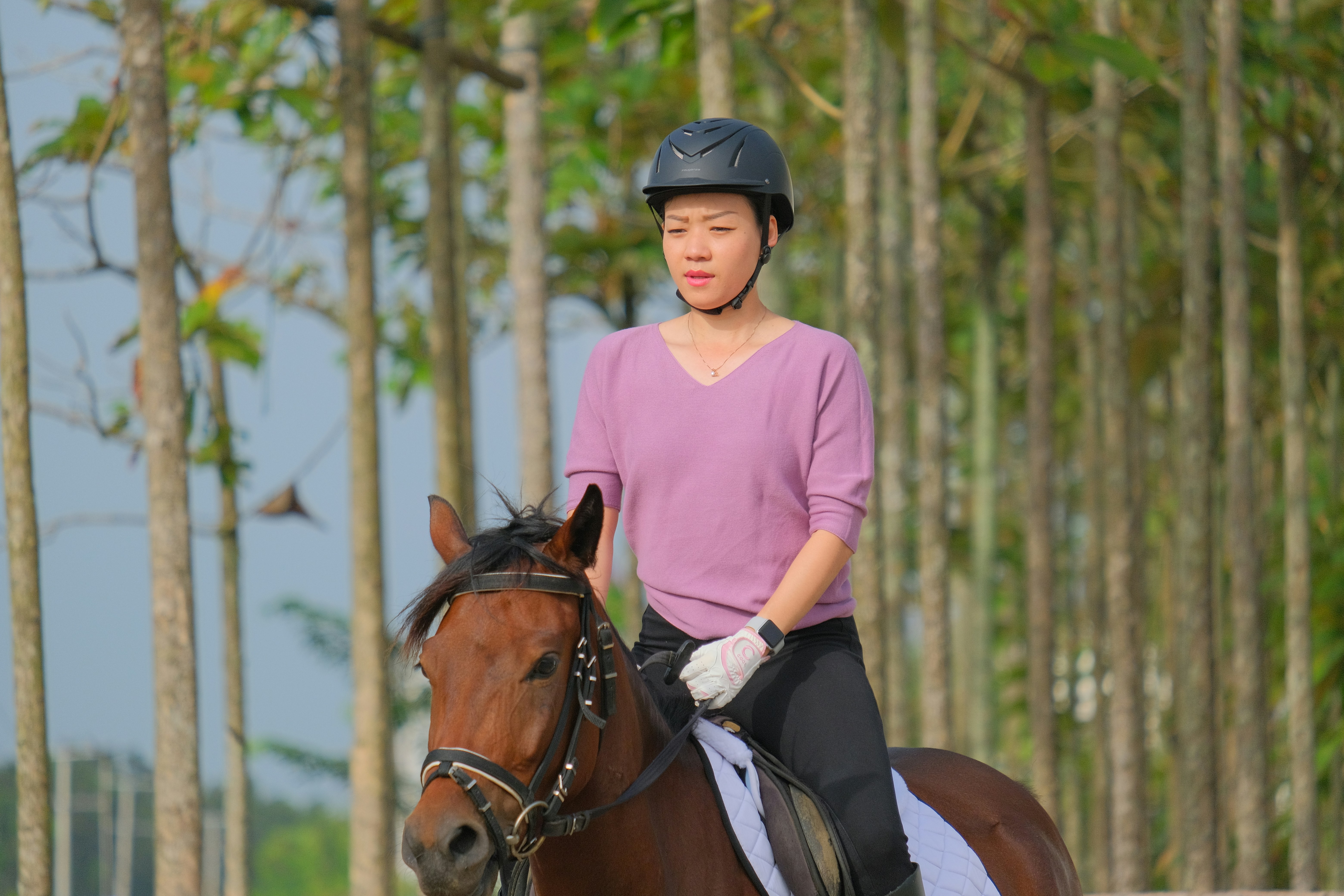 Premium Horse Tack Reviews