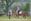 A person wearing a helmet and boots is riding a brown horse with protective gear. Another person stands nearby with folded arms, observing. The setting is an outdoor area with green grass, trees, and a fence, possibly a training ground for horses.