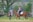 A person wearing a helmet and boots is riding a brown horse with protective gear. Another person stands nearby with folded arms, observing. The setting is an outdoor area with green grass, trees, and a fence, possibly a training ground for horses.