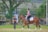 A person wearing a helmet and boots is riding a brown horse with protective gear. Another person stands nearby with folded arms, observing. The setting is an outdoor area with green grass, trees, and a fence, possibly a training ground for horses.
