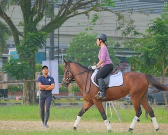 woman in blue jacket and blue denim jeans riding brown horse during daytime