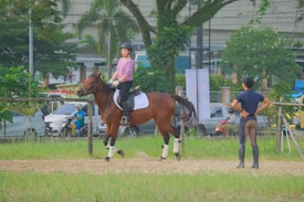 A person is riding a brown horse in an open grassy area, wearing equestrian gear including a helmet. Another individual stands nearby, observing with hands on hips. In the background, there are parked cars and motorcycles, along with lush green trees and a building.