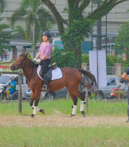 man in white shirt riding brown horse during daytime