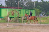A person wearing a helmet and riding boots is mounted on a brown horse, riding past a green shipping container against a backdrop of trees. The horse is equipped with saddle and red leg wraps. There is a makeshift gate or hurdle in front, and the ground appears to be sandy.