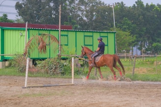 A person wearing a helmet and riding boots is mounted on a brown horse, riding past a green shipping container against a backdrop of trees. The horse is equipped with saddle and red leg wraps. There is a makeshift gate or hurdle in front, and the ground appears to be sandy.