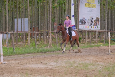 A person wearing a helmet and casual riding attire is riding a horse on a dirt path, with a forest of tall, thin trees in the background. A large event banner is visible, indicating an equestrian event.