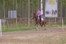 A person wearing a helmet and casual riding attire is riding a horse on a dirt path, with a forest of tall, thin trees in the background. A large event banner is visible, indicating an equestrian event.