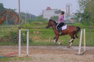 A person wearing a helmet and casual riding attire is riding a brown horse in an outdoor equestrian setting. The horse is adorned with protective leg wraps and a saddle pad. The setting includes muddy ground and a simple equestrian setup with poles and a low barrier. Background elements consist of trees and a distant building.