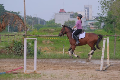 A person wearing a helmet and casual riding attire is riding a brown horse in an outdoor equestrian setting. The horse is adorned with protective leg wraps and a saddle pad. The setting includes muddy ground and a simple equestrian setup with poles and a low barrier. Background elements consist of trees and a distant building.