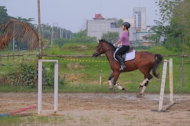 A person wearing a helmet and casual riding attire is riding a brown horse in an outdoor equestrian setting. The horse is adorned with protective leg wraps and a saddle pad. The setting includes muddy ground and a simple equestrian setup with poles and a low barrier. Background elements consist of trees and a distant building.
