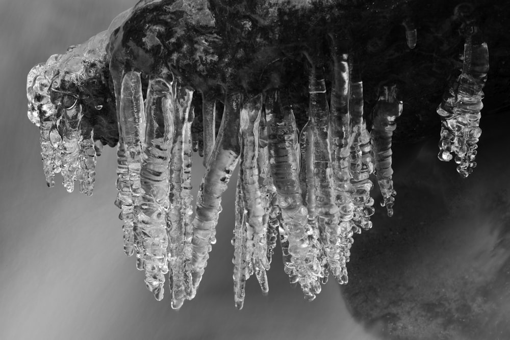 grayscale photo of ice on water