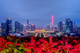 city skyline during night time