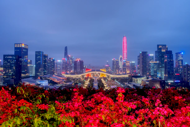 city skyline during night time