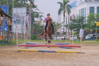 A person is riding a horse, jumping over a set of colorful obstacles in an outdoor arena. The background features modern buildings, palm trees, and a few cars parked along the roadside. The scene suggests an equestrian event or training session.