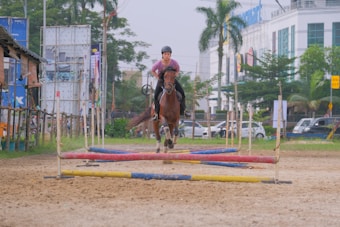 A person is riding a horse, jumping over a set of colorful obstacles in an outdoor arena. The background features modern buildings, palm trees, and a few cars parked along the roadside. The scene suggests an equestrian event or training session.